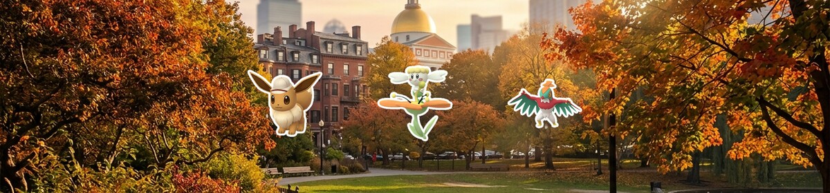 City Safari: Boston