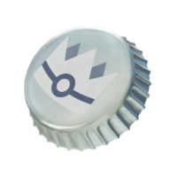 Silver Bottle Cap