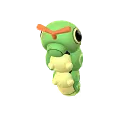 Caterpie