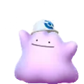 Ditto (Spring 2026 A)