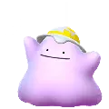 Ditto (Spring 2026 B)