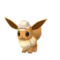 Eevee (Explorer Hat)
