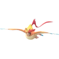 Pidgeot
