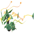 Rayquaza