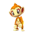 Chimchar