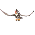 Staraptor