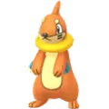 泳圈鼬