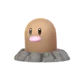 地鼠