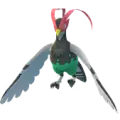 Unfezant