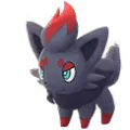 Zorua