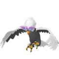 Hisuian Braviary
