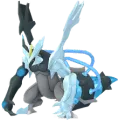 Black Kyurem