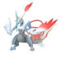 White Kyurem