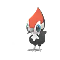 Pikipek