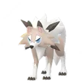 Wolwerock