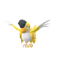 Squawkabilly (Yellow Plumage)