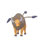 Tauros (Normal) in Pokémon GO