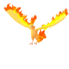 Moltres (Normal) en Pokémon GO