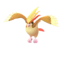 Pidgeot (Normal) en Pokémon GO