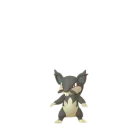 Rattata (Alola) dans Pokémon GO