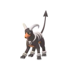Houndoom (Normal) em Pokémon GO