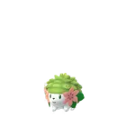 Shaymin (Forma Terrestre) em Pokémon GO