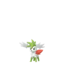 Shaymin (Forma Céu) em Pokémon GO