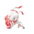 Zoroark (Hisuian) in Pokémon GO