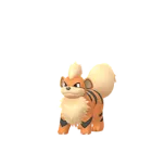 Growlithe (Normal) em Pokémon GO