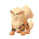 วินดี (Normal) ใน Pokémon GO