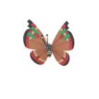 Vivillon (Motivo Isleño) en Pokémon GO