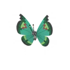Vivillon (Motivo Vergel) en Pokémon GO