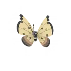 Vivillon (Motivo Desierto) en Pokémon GO