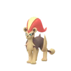 Pyroleo (Weiblich) in Pokémon GO