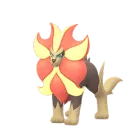 Pyroleo (Männlich) in Pokémon GO