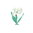 Florges (White Flower) in Pokémon GO
