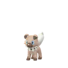 Rockruff (Normal) in Pokémon GO