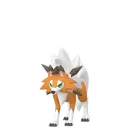 Wolwerock (Zwielichtform) in Pokémon GO