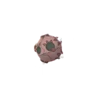 Météno (Meteor Form) dans Pokémon GO