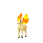 Ponyta (Normal) in Pokémon GO