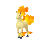 Rapidash (Normal) en Pokémon GO