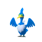 Cramorant (Normal) in Pokémon GO