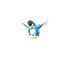Squawkabilly (Blue Plumage) in Pokémon GO