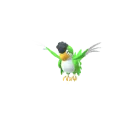 Squawkabilly (Green Plumage) in Pokémon GO