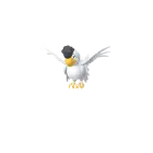 Squawkabilly (White Plumage) in Pokémon GO