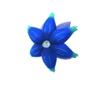 Glimmora