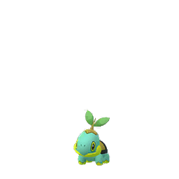 Shiny Turtwig