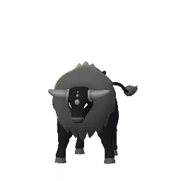 Paldean Tauros (Combat Breed) (Shiny) in Pokémon GO