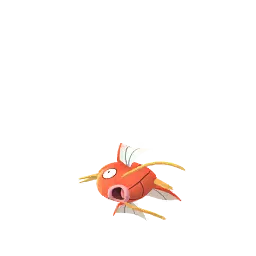 鯉魚王 - Male