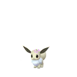 Evoli (Blumenkranz) (Schillernd, Männlich) in Pokémon GO